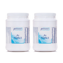 Load image into Gallery viewer, Panaxea AI Mark II Solid Tumors 600g Granules 3 PACK
