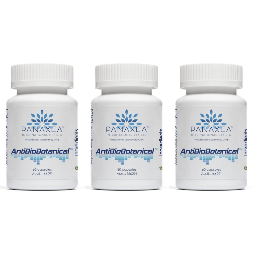 Panaxea AntiBioBotanical 60 cápsulas vegetales de 500 mg (paquete de 3)