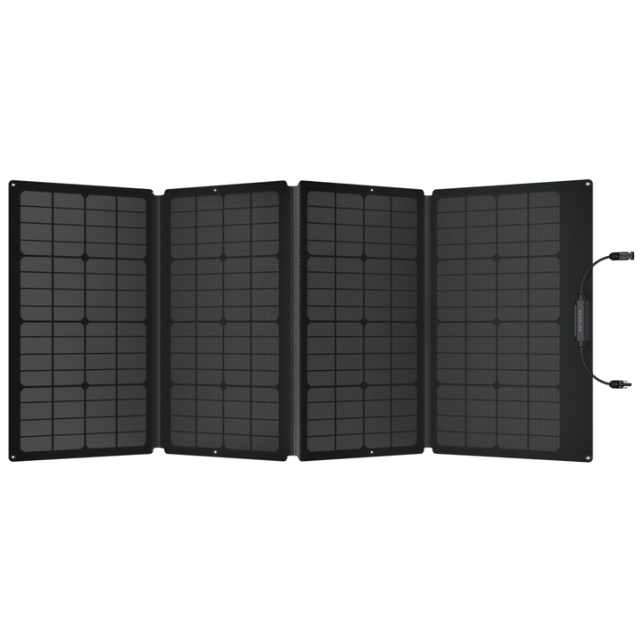 EcoFlow DELTA 2 Max Portable Power Station + One 160W Portable Solar Panel