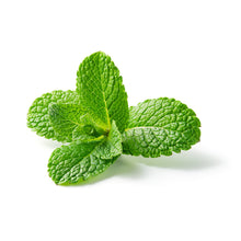 Load image into Gallery viewer, Essential Oxygen Organic Toothpaste Peppermint 4 oz Supports Fresh Breath
