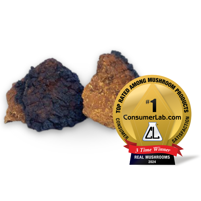 Extracto de Chaga en polvo de hongos reales (60 gramos) para reforzar el sistema inmunitario. Sin gluten.