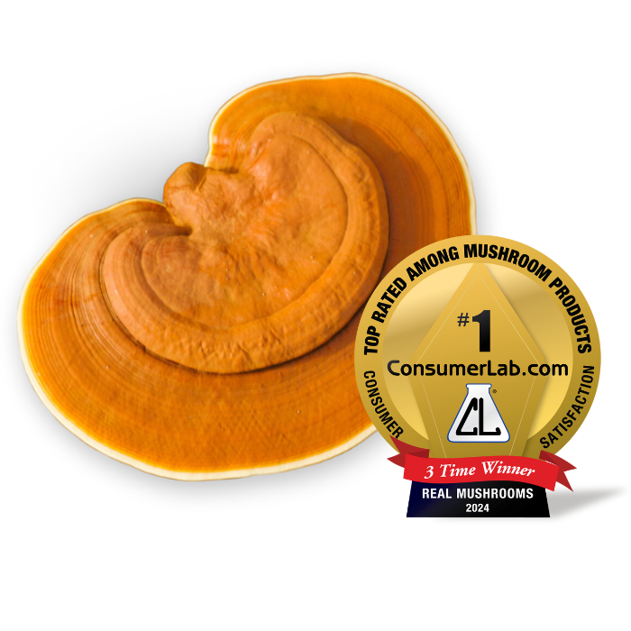 Real Mushrooms Reishi Mushroom Extract Bulk Powder 45 Grams