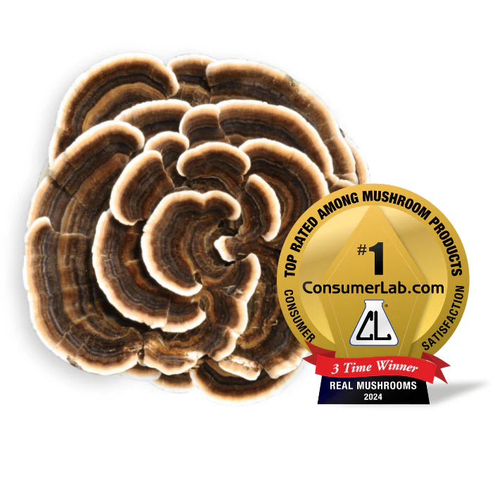 Extracto de cola de pavo con hongos auténticos, refuerzo inmunitario y bienestar natural, 90 cápsulas