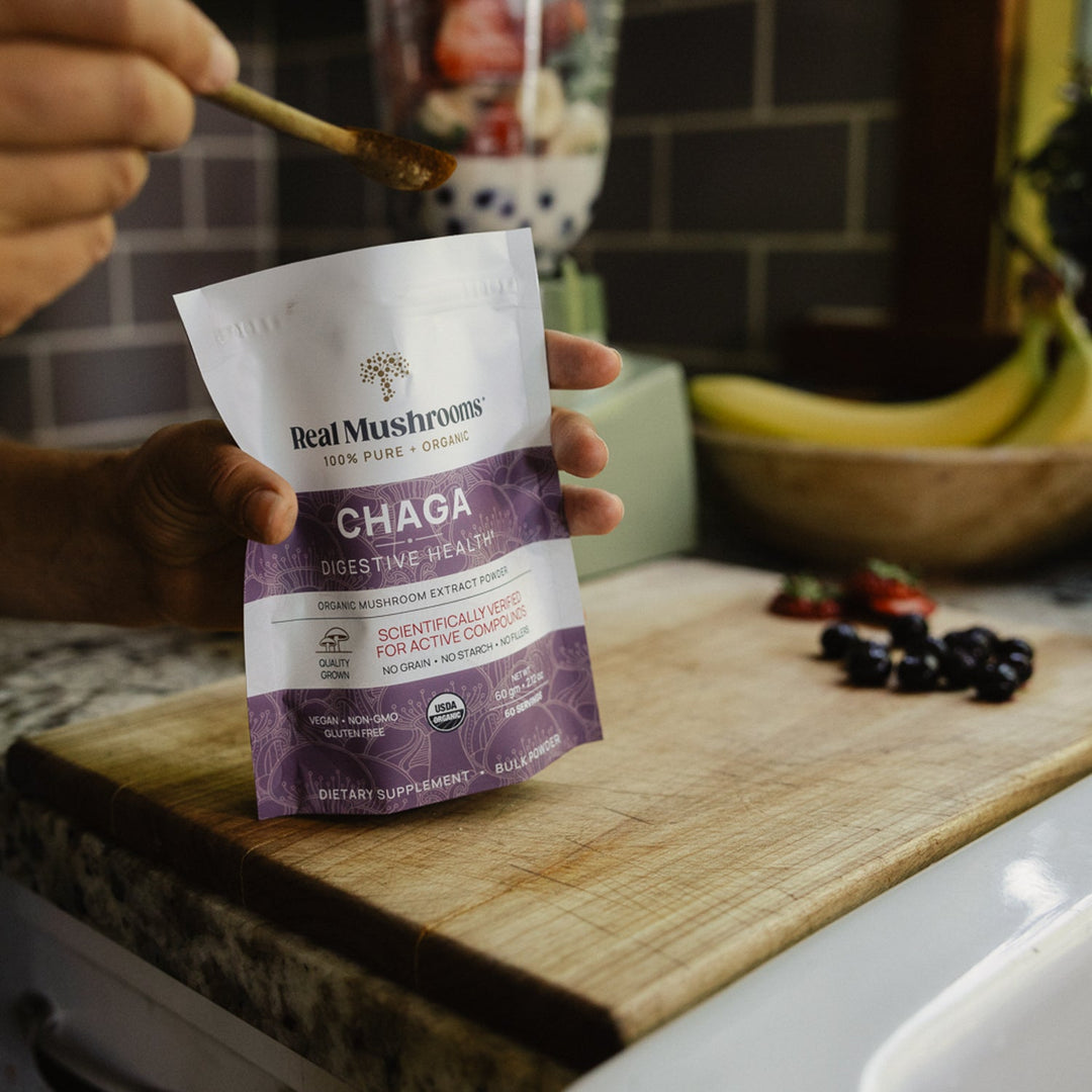 Extracto de Chaga en polvo de hongos reales (60 gramos) para reforzar el sistema inmunitario. Sin gluten.