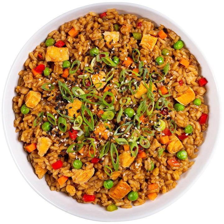 ReadyWise CP Chicken Teriyaki & Rice Single Serve