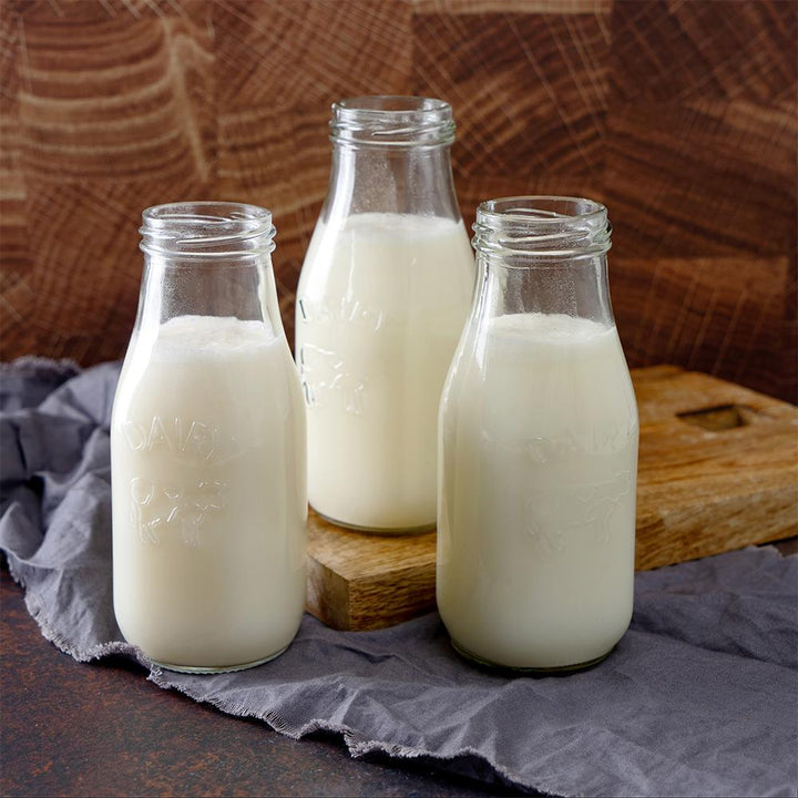 ReadyWise Simple Kitchen Whey Milk Alternative - 93 Serving Can