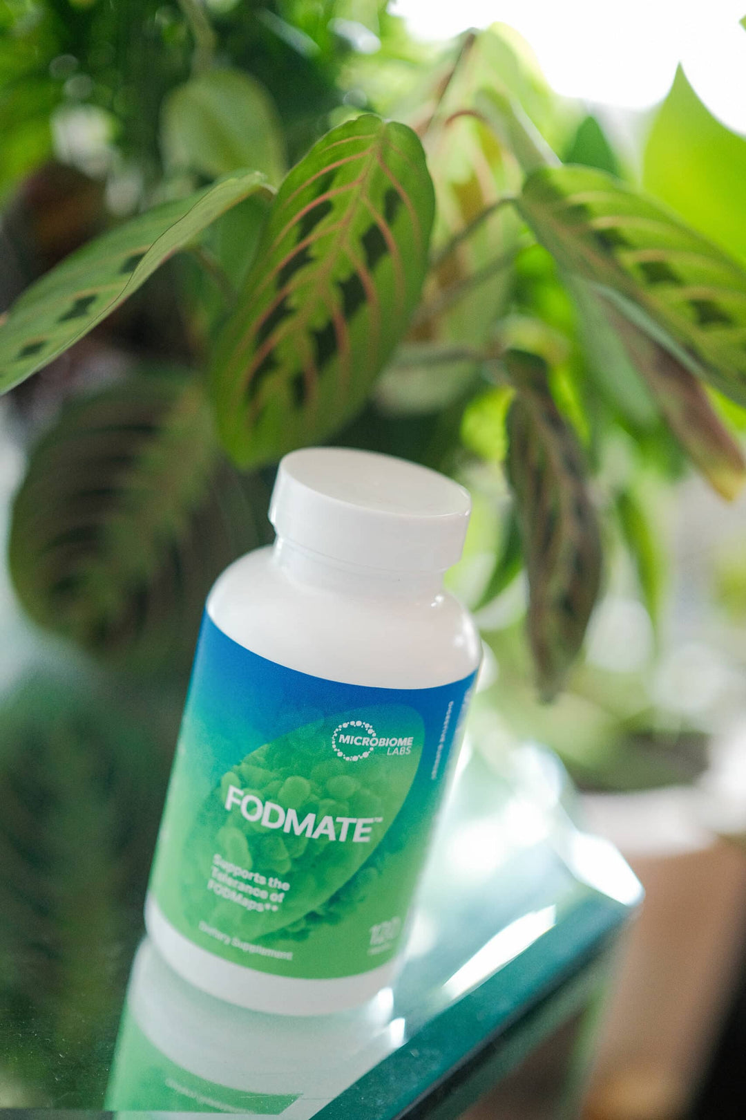 Microbiome Labs FODMate bottle on a table surrounded by green plants, supports digestive comfort and relief.