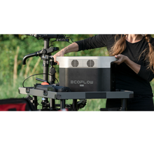 Load image into Gallery viewer, EcoFlow DELTA Max 2000 Portable Power Station + Qty 2 110W Solar Panel 3 KIT
