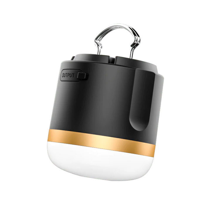 EcoFlow Camping Light Table Lamp Portable Magnetic Hangable Handheld