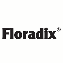 Load image into Gallery viewer, Floradix Floravital Iron Herbs Liquid Supplement Energy Support Yeast Free 23oz
