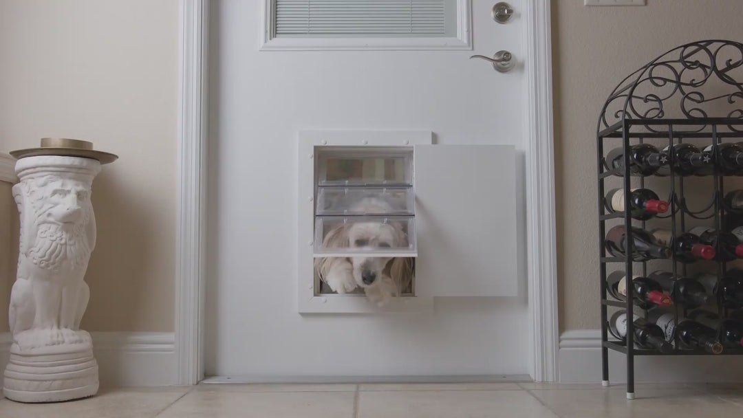 Guard Dog Pet Door – Medium Size, Secure Flush Fit, Locking Panel, Weatherproof