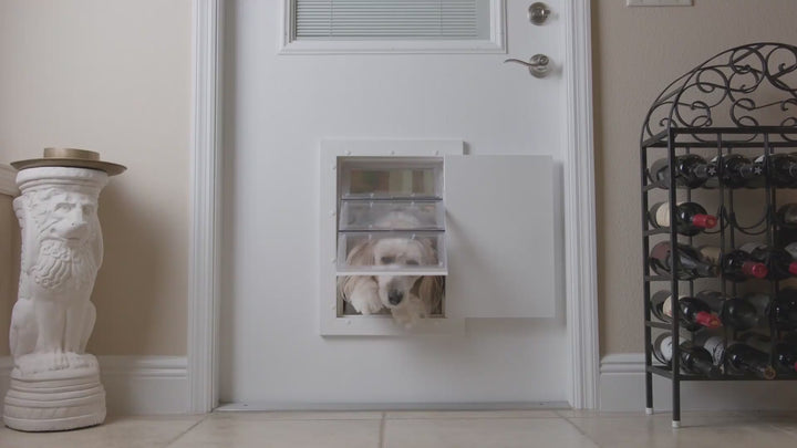 Guard Dog Pet Door – Medium Size, Secure Flush Fit, Locking Panel, Weatherproof