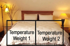 Holy Lamb Organics Comforter Premium Wool Dual-Weight New Standard King