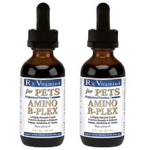 Load image into Gallery viewer, Rx Vitamins Amino B-Plex 4 Oz Vitamin Supplements for Pets, 3 Pack
