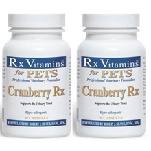 Load image into Gallery viewer, Rx Vitamins Cranberry Rx UTI Treatment for Pets, 90 Capsules, 2 Pack.
