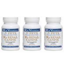 Load image into Gallery viewer, 3-pack Rx Vitamins for Pets Rx Renal Canine Kidney Support 120 Capsules for Dogs
