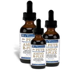 Rx Vitamins For Pets Amino B-Plex 3 Pack bottles with droppers, B vitamin complex with amino acids.