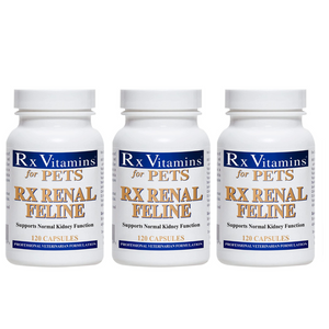 Rx Vitamins for Pets Rx Renal Feline, 120 capsules, 3 pack for cats' kidney function support.