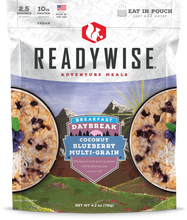 Load image into Gallery viewer, ReadyWise Daybreak CoconutBlueberry MultiGrain 2.5 servings 4.2 Oz 12 PACK
