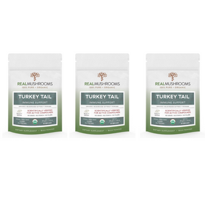 Real Mushrooms Turkey Tail Extract Bulk Powder RM-TURKEYTAILPWD 45 Grams 3 PACK