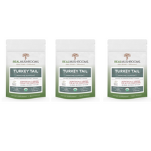 Load image into Gallery viewer, Real Mushrooms Turkey Tail Extract Bulk Powder RM-TURKEYTAILPWD 45 Grams 3 PACK
