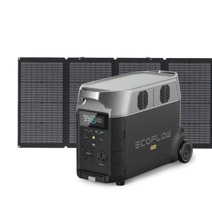 EcoFlow DELTA Pro 3600W with one 220W solar panel kit for portable power solutions.