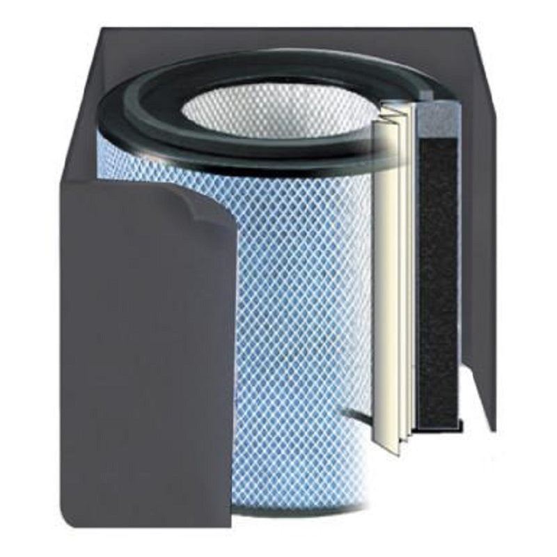 Austin Air Replacement Filter Healthmate Standard HEPA 5 Year O2% Black FR400A