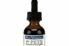 Load image into Gallery viewer, Rx Vitamins For Pets Amino B-Plex Vitamin Complex Plus Amino Acids AMB2 2 PACK bottle with dropper.
