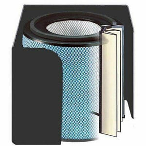 Austin Air Replacement Filter Healthmate Standard Plus 5 Years O7% White FR450B