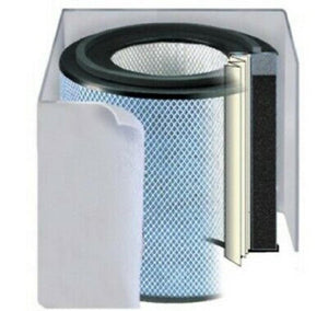 Austin Air Replacement Filter Healthmate Standard HEPA  5 Year O2% White FR400B