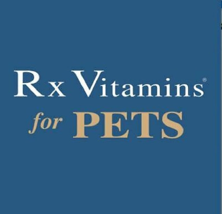 Rx Vitamins For Pets Rx Clay 100g Intestine Support Powder for Dogs and Cats